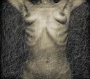 Torso 4